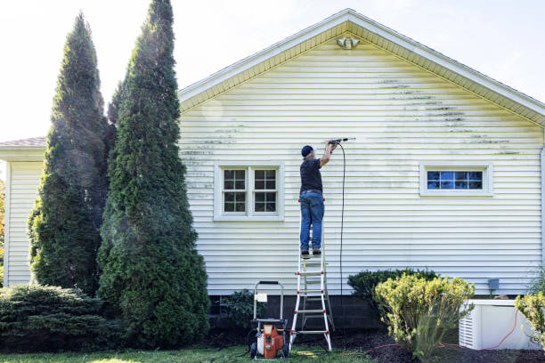 Trusted Timmonsville, SC Pressure Washing Experts