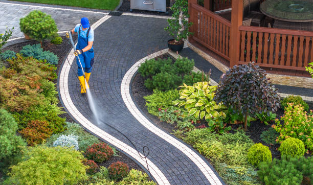 Best Pressure Washing Contractors  in Timmonsville, SC